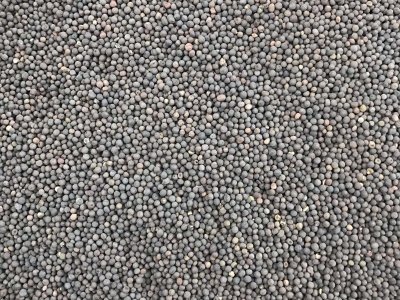 [田菁]田菁種子價格_播種方法_經濟價值